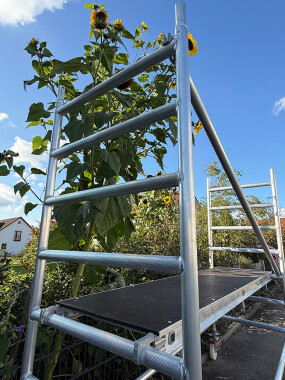 Rollgerüst 2,90 m Arbeitshöhe - PANTHER XV POWER (alte Norm)